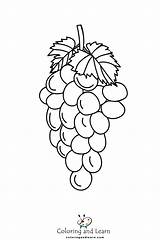 Grape Coloring Pages FREE 2025  And Learn sketch template