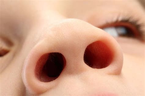 We’ve discovered a whole new defence system against germs in our noses | New Scientist