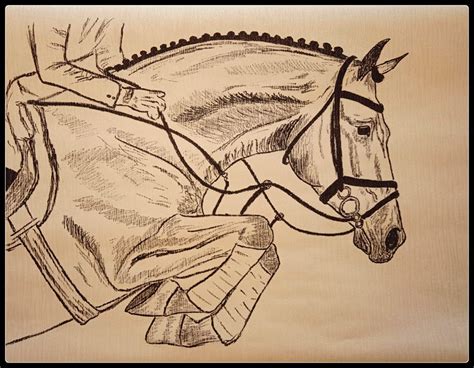 Jumping Horse Drawing - Drawing.rjuuc.edu.np