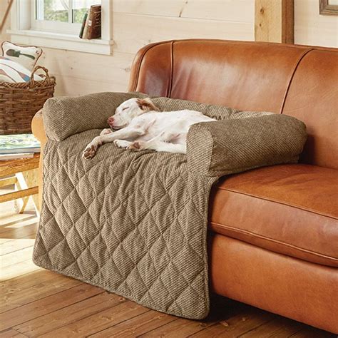 Dog Bed Couch Protector - banner frozen food