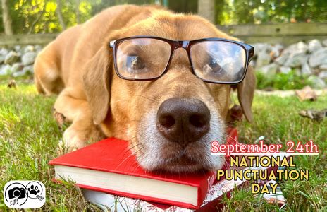 National Punctuation Day: Sept 24th | Siena Group