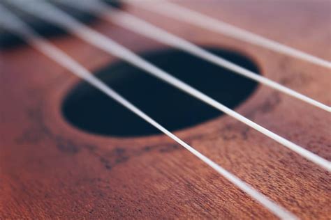 Ukulele String Frequently Asked Questions: Materials, Names and Tunings ...