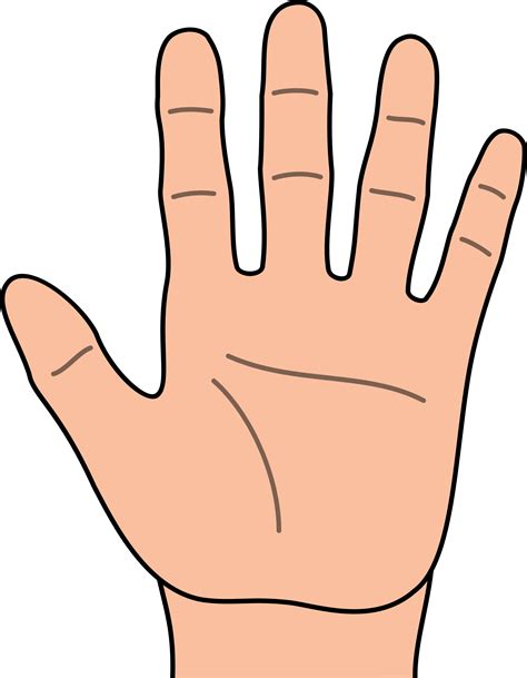 Free Hands Clipart Png, Download Free Hands Clipart Png png images, Free ClipArts on Clipart Library