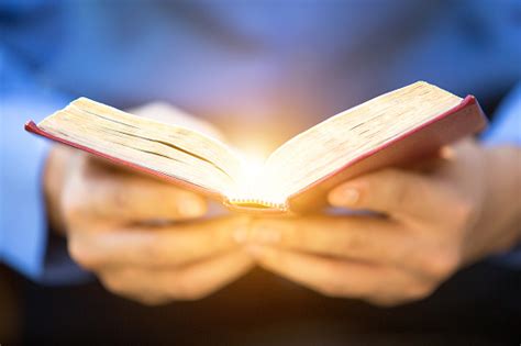 A Man Reading The Holy Bible Stock Photo - Download Image Now - iStock