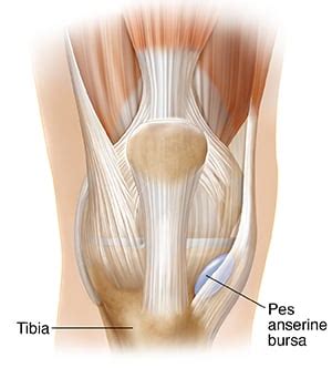 Anterior Knee Pain: Symptoms, Causes & Treatment