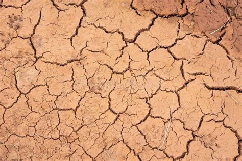 Closeup of Dry and Cracked Land in Agriculture Land Erosion during Intense Summer Heat and Dry ...