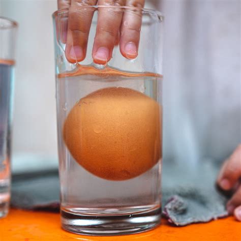 Egg Float Test: Is That "Fresh" Egg is Good Or Bad?