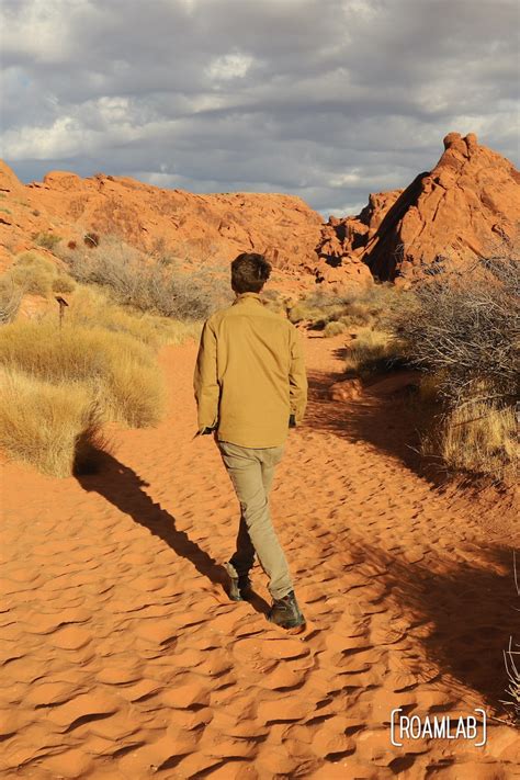 Mouse's Tank (Petroglyph Canyon) Trail — Hiking | Roam Lab