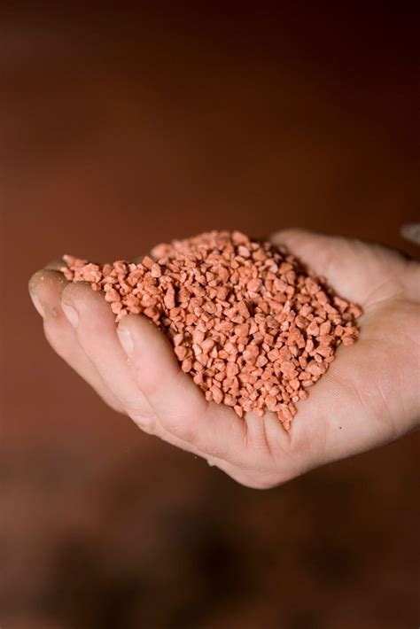 Potash And Plants - Learn About Potash In Soil And Potash Fertilizer ...