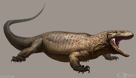 Megalania (Rumored) | Dinosaur art, Prehistoric animals, Prehistoric creatures