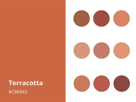 30 Best Terracotta Paint Colors You’ll Love (2024)