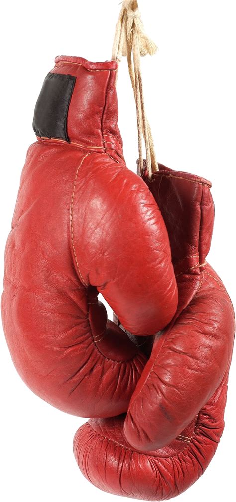Free Boxing Gloves Transparent Background Download Fr - vrogue.co