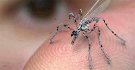 Insect Spy Drone Stanley Kubrick, Arm Technology, Spy Drone, Nano ...