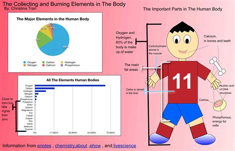 Elements Of The Human Body | MedicineBTG.com