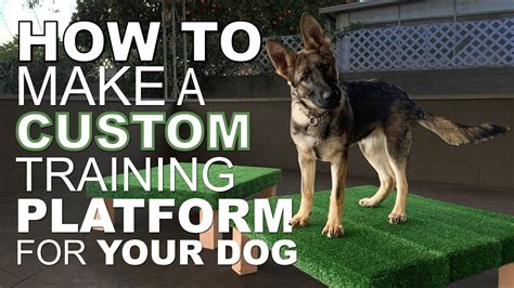 How to Make a Custom Training Platform for Your Dog. - YouTube