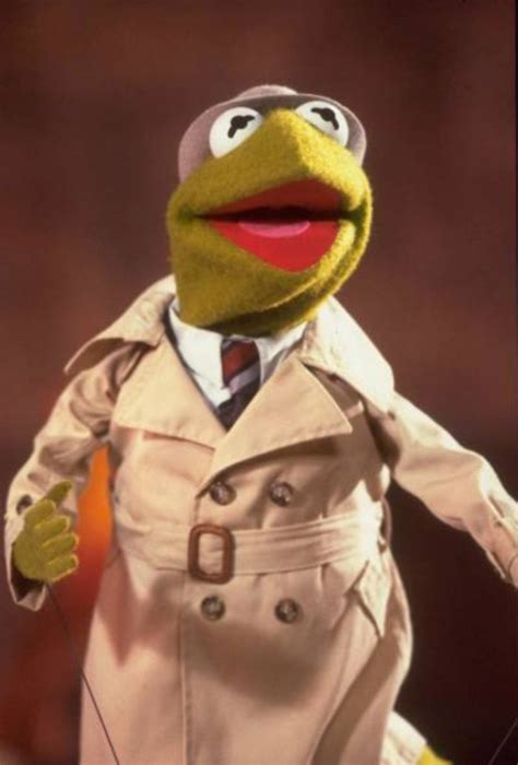 Reporter Kermit | Muppet Wiki | Fandom