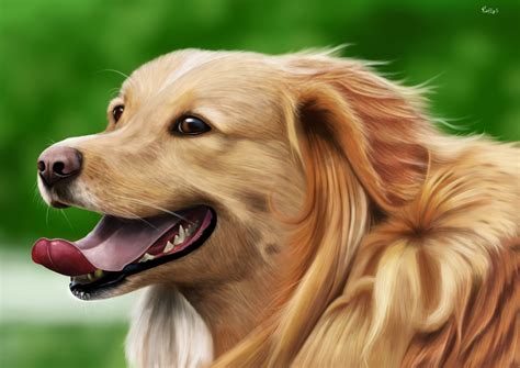 ArtStation - Animal Illustrations (fur practice)