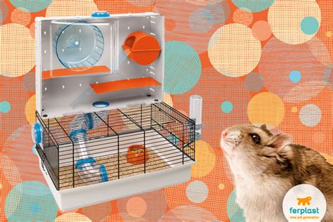 Roborovski Hamster Cages