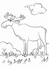 Happy Moose sketch template