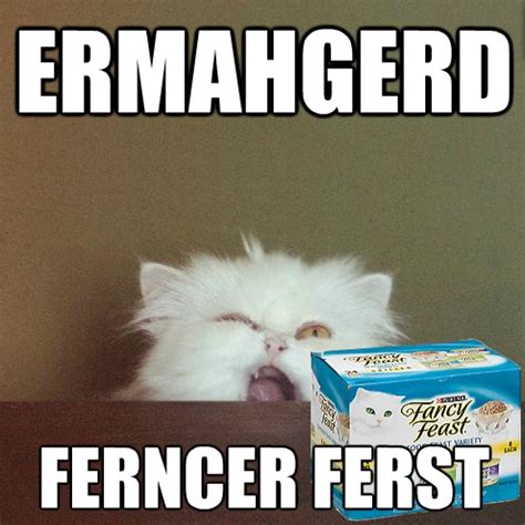 Ermahgerd | Know Your Meme