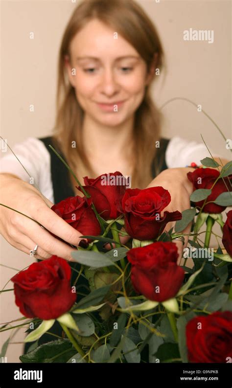 Valentine's day. Roses are prepared in a flower shop in London ahead of Valentine's Day Stock ...