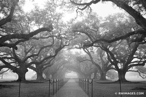 Fine Art Photography Prints | | | | | Louisiana Plantations - Color ...