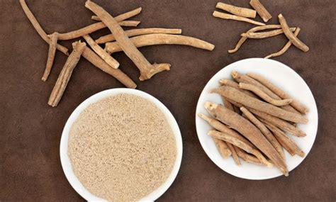 A Guide To Ashwagandha: Benefits, Ingredients & Uses