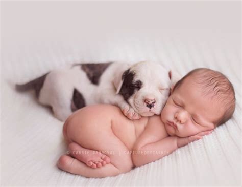 Images Of Baby Puppies