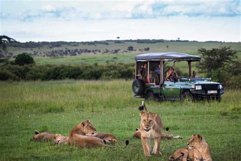 10 Best Masai Mara Safari Tours for 2023 (Kenya Safari Masai Mara)