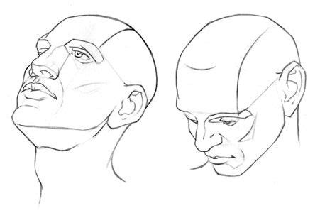 32 best images about Drawing the human head on Pinterest | How to draw, Human head and The head