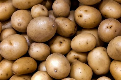 How and When to Harvest Potatoes