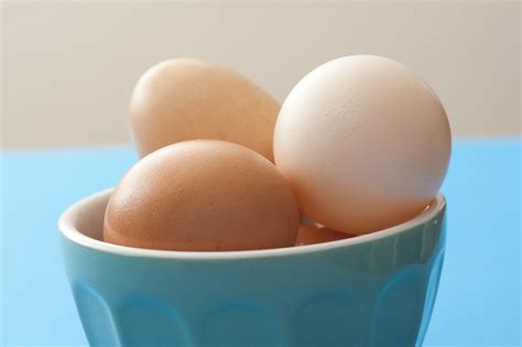 Free Stock Photo 13011 Fresh hens eggs in a blue ceramic bowl | freeimageslive