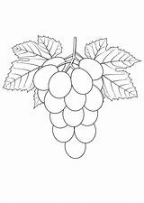 Grapes Coloring Pages Printable At Rickie Messerly Blog sketch template