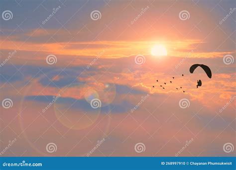 Paramotor Flying On Blue Sky Background Royalty-Free Stock Photography | CartoonDealer.com #97360139
