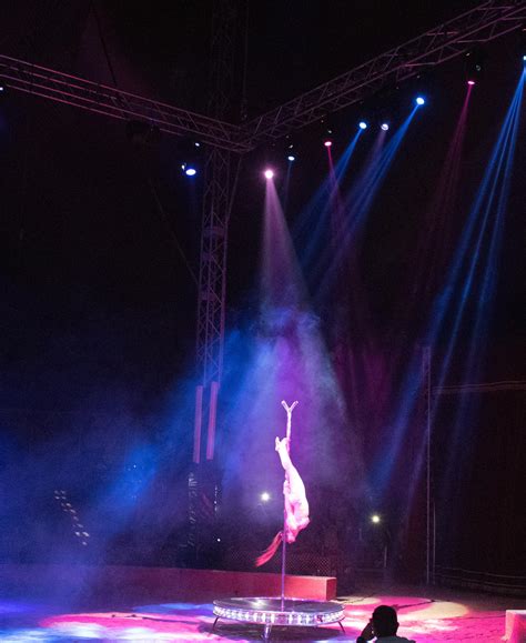 Free stock photo of circus, light, live performance