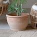Large Clay Floor Vase Amphora Planter Pot for Large Trees Statement Decor Piece Empire - Etsy