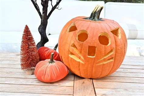 5 Cat Pumpkin Carving Ideas to Try at Home - Great Pet Living