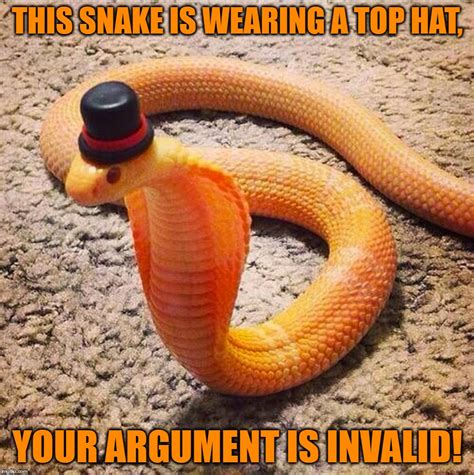 A Snake With Class - Imgflip