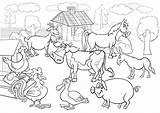 Boerderij Dieren Cartoon Voor coloring Boek  Premium Vector sketch template