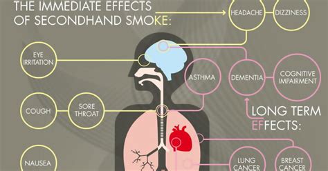 The Negative Effects of Secondhand Smoke on Children in Cars