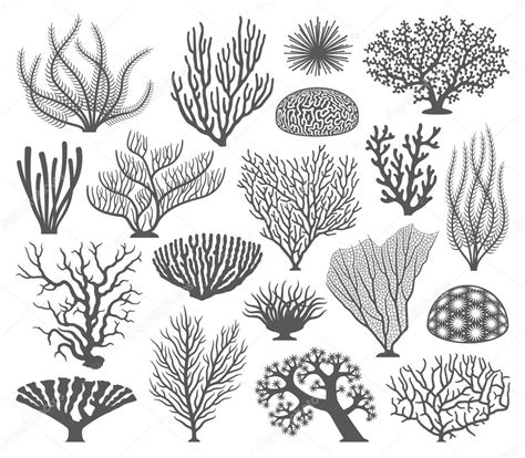 Coral formations Vector Silhouettes Stock Vector Image by ©pingebat ...