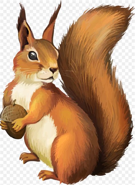 Squirrel Clip Art, PNG, 2726x3750px, Chipmunk, Fauna, Flying Squirrel ...