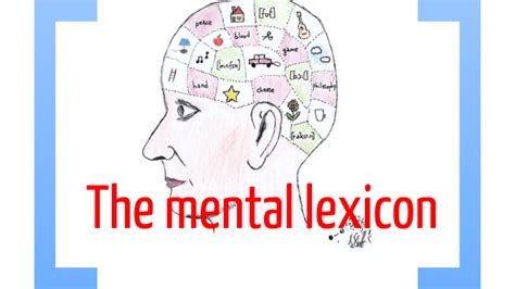 The mental lexicon by Anna Nieora on Prezi