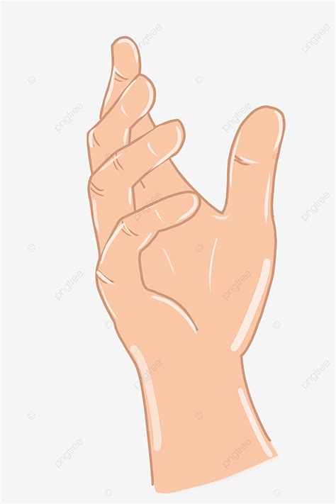 Gesture Illustration PNG Picture, Palm Up Gesture Illustration, Finger, Palm Up, Gesture PNG ...