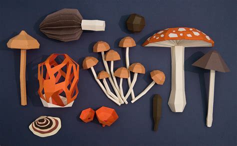 paper fungi :: Behance