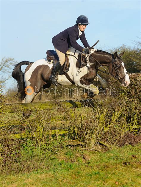 Nico Morgan Media | jumping a hunt jump near the Jubilee Covert | Oakham, Rutland Photographer