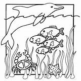 Animal Coloring Pages Of Ocean Animals  Home sketch template