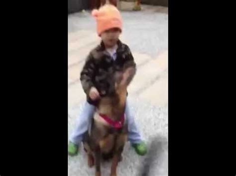 Mary's Dogs - PiPi with a 5 Years Old Boy - Super Dog! - YouTube