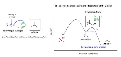 E1 Reaction Mechanism and E1 Practice Problems