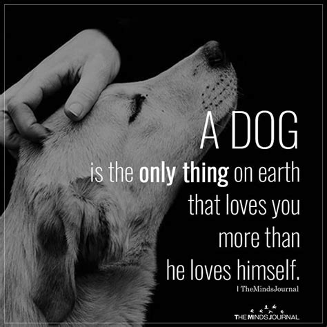 50+ Dog Quotes That Will Melt Every Animal Lover's Heart | Dog quotes ...